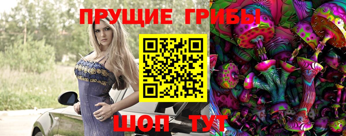 Псилоцибиновые грибы Cubensis Коломна